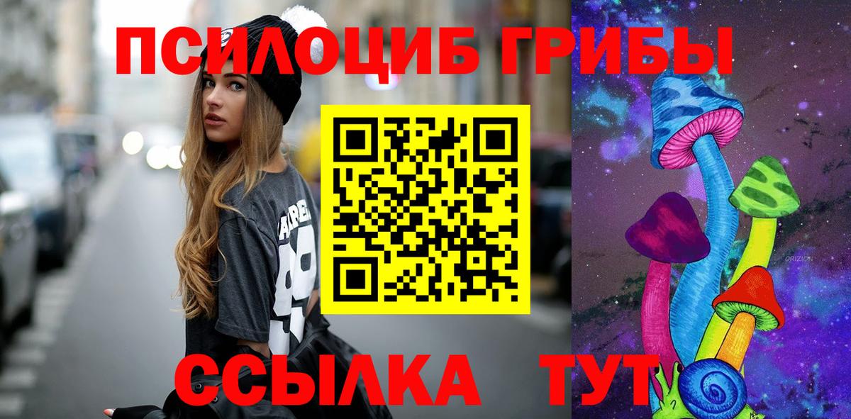 Галлюциногенные грибы Psilocybe  Вход с VPN  Кыштым 